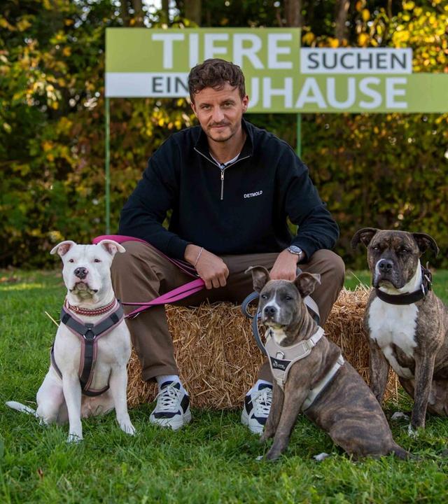 Tiere suchen ein Zuhause vom 03.11.2024