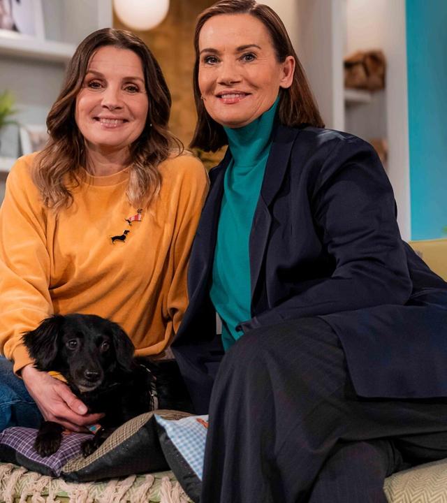 Tiere suchen ein Zuhause vom 09.02.2025