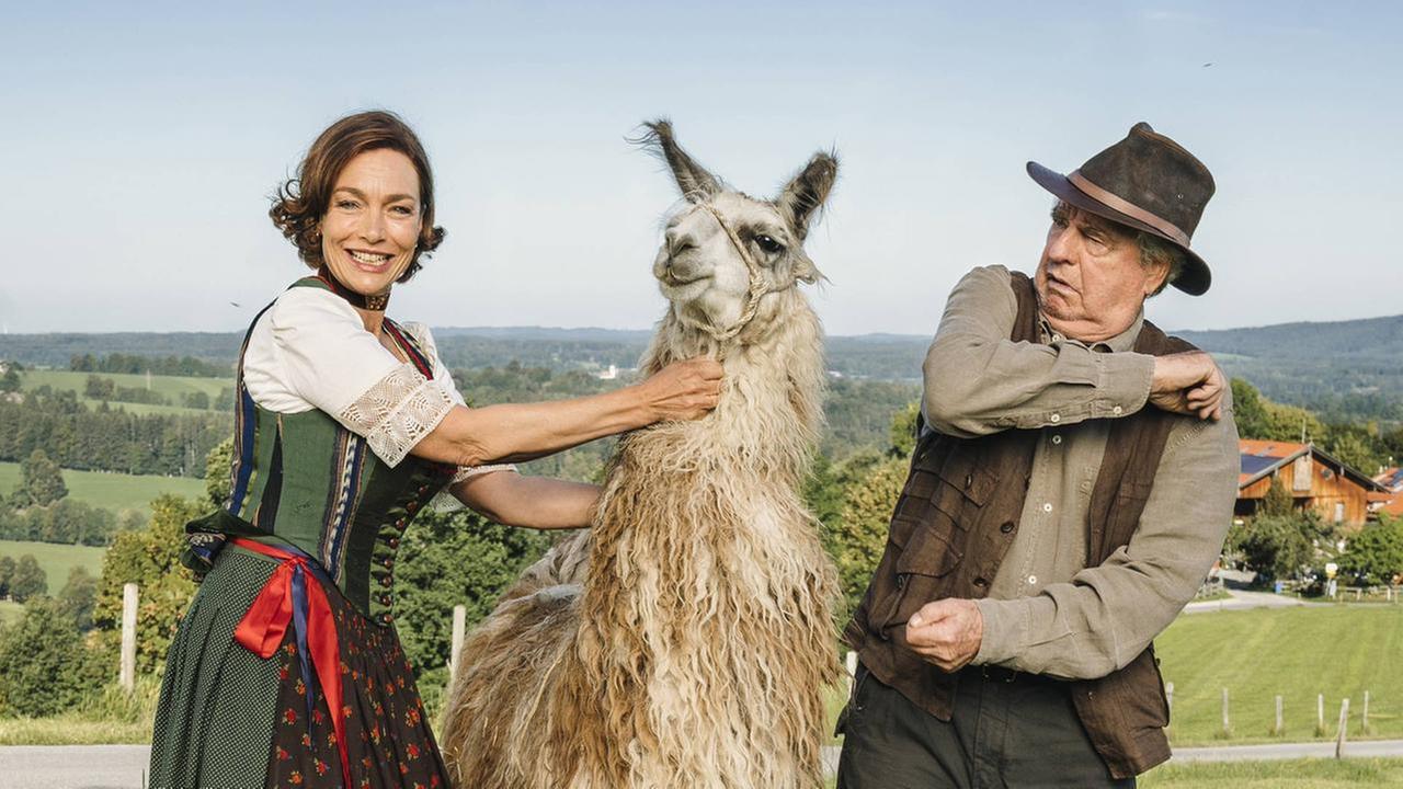 Tierisch gute Ferien