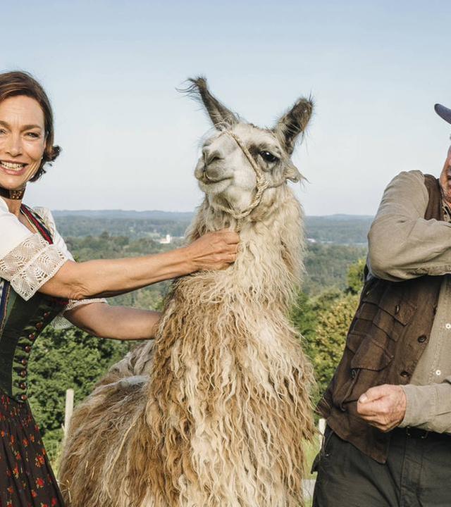 Tierisch gute Ferien