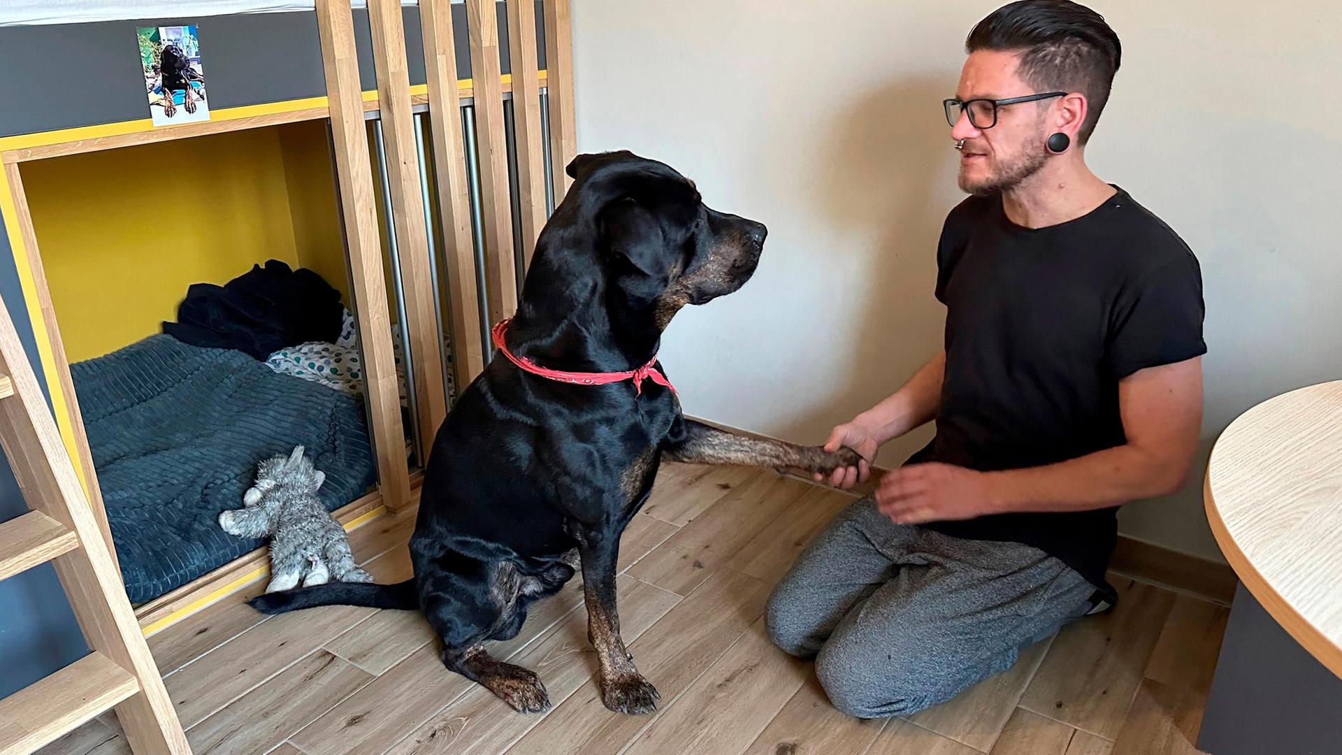 Tierische Helfer - Mit Hunden in der Suchtklinik