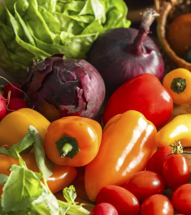 Tomaten und Paprika, Primeln, nostalgische Stauden