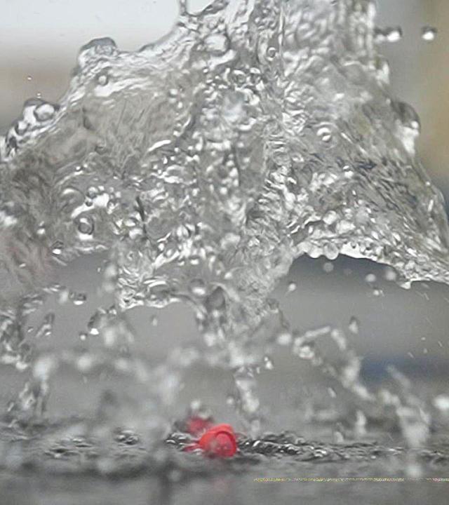 Tops & Flops und KI versus Illustratoren