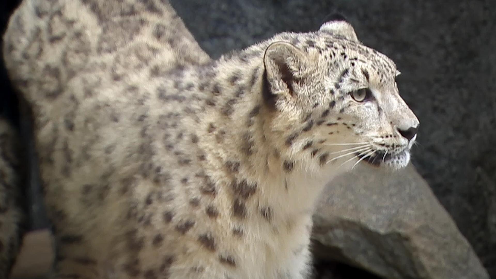 Training, bis der Arzt kommt