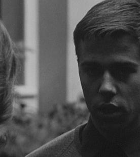 Umfrage. Wer war Willi Graf?