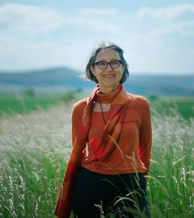 Vergiftetes Land? Parkinson, die Bauern und die Gärtner