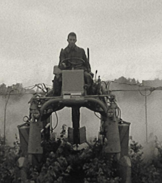 Viele Vögel und nützliche Insekten verschwinden aus der Natur