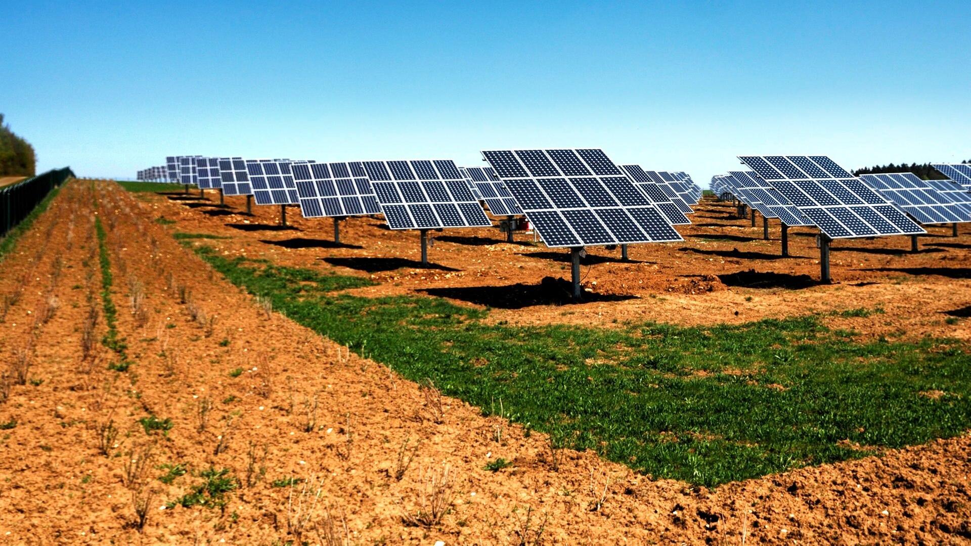 Volt statt Weizen? Vom Landwirt zum Energiewirt