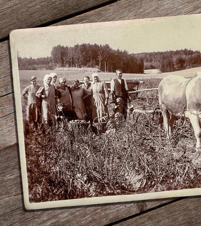 Vom Mangel zum Überschuss: Landwirtschaft 1920-1960 (1/3)