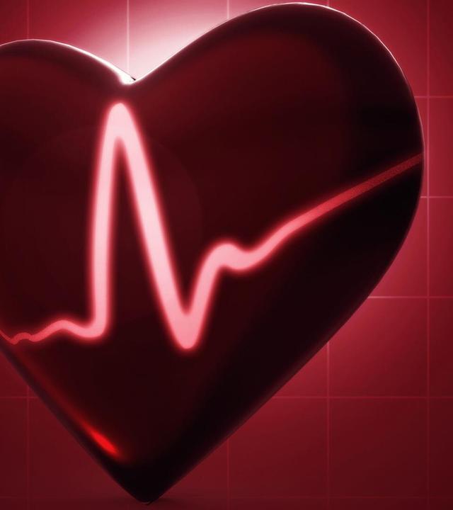 Von Sensoren für Organtransporte über Licht bei der Geburt bis zu Touchpads gegen Alzheimer