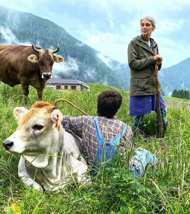 Von Südtirol an den Gardasee