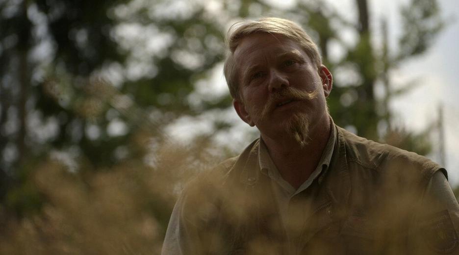 Wälder in Bayern · Faszination eines Lebensraums