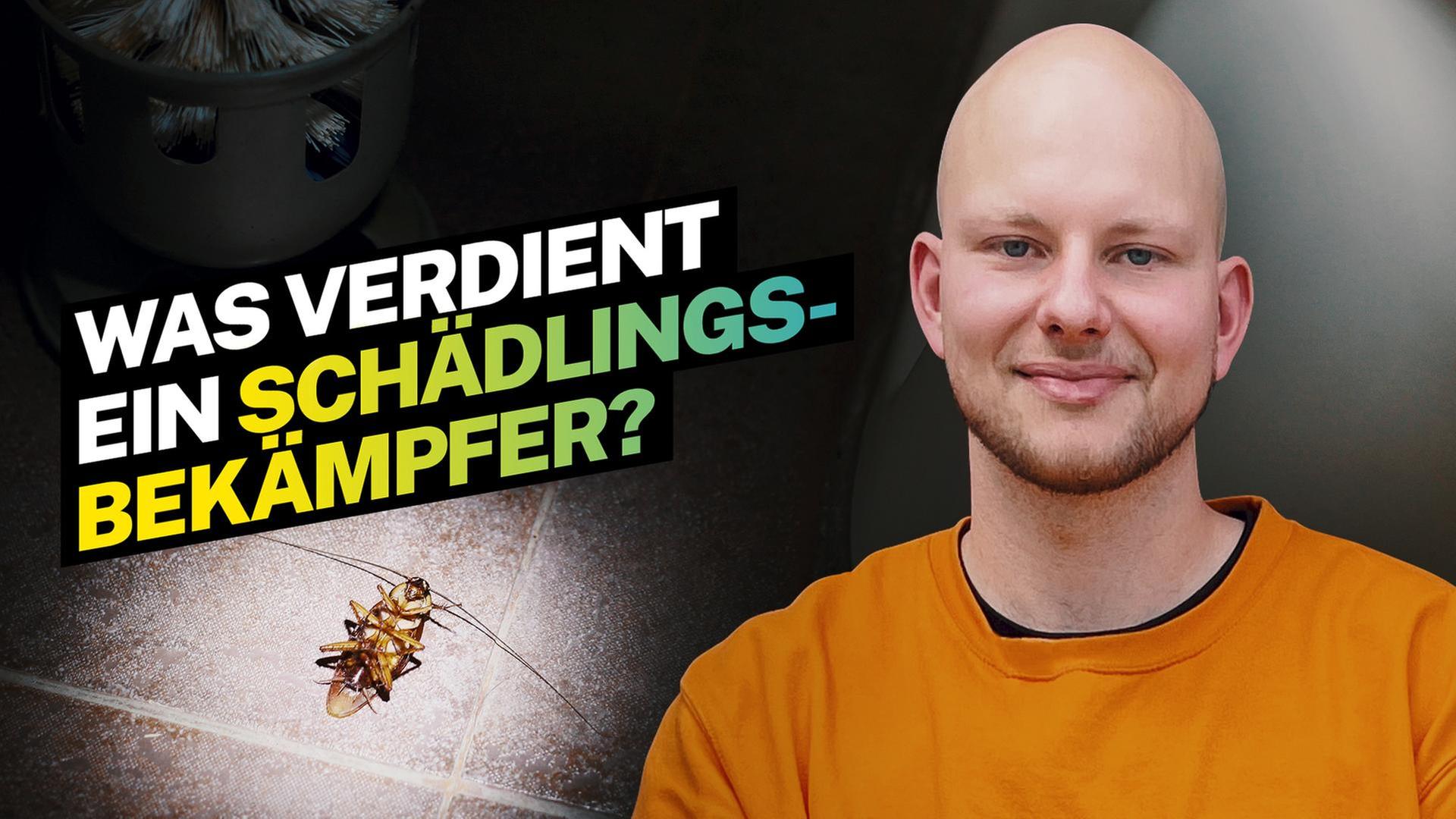 Was verdient ein Schädlingsbekämpfer?