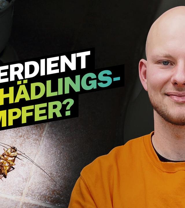 Was verdient ein Schädlingsbekämpfer?
