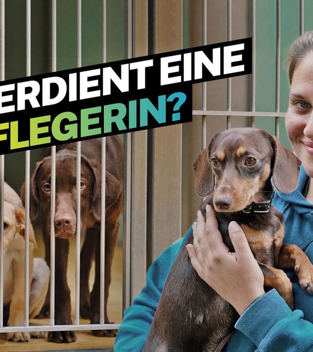 Was verdient eine Tierpflegerin?