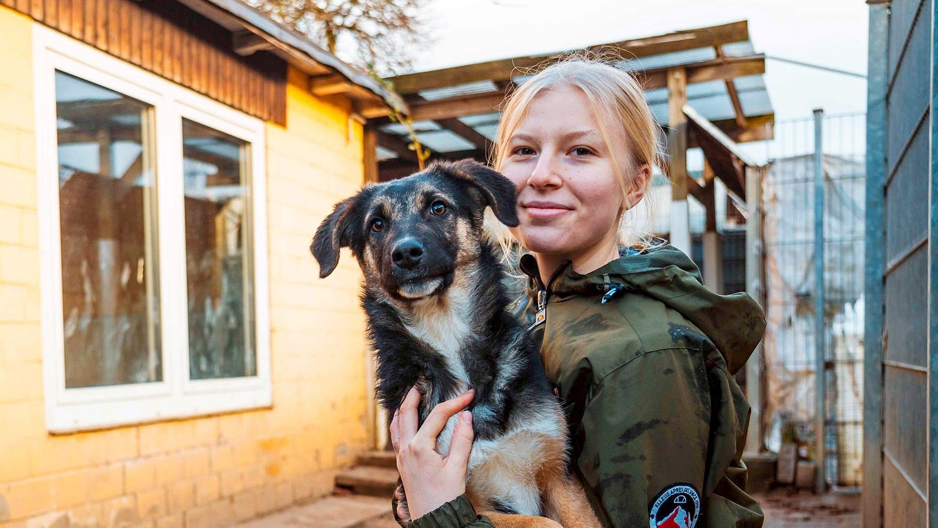 Welpendrama und Tierheimfest