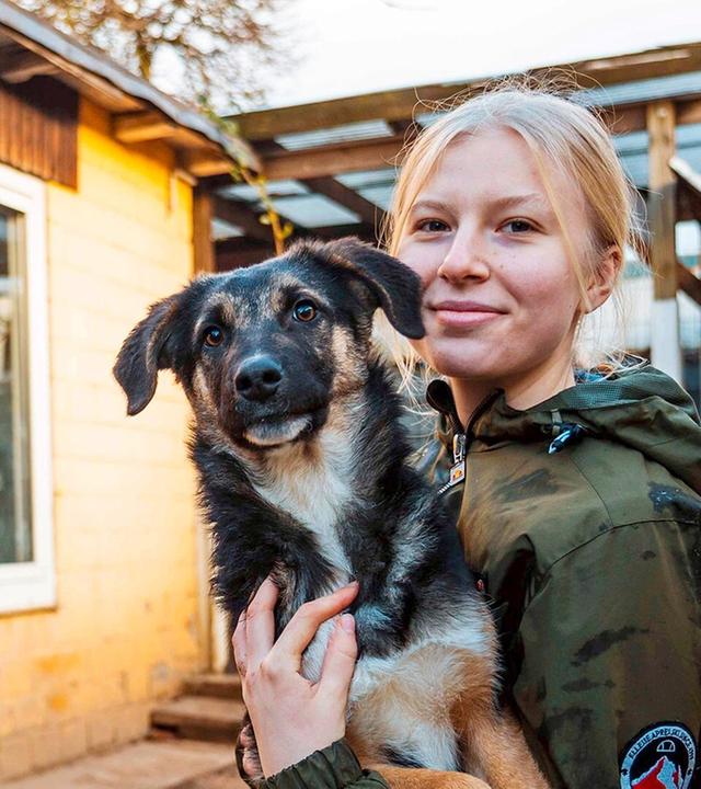 Welpendrama und Tierheimfest