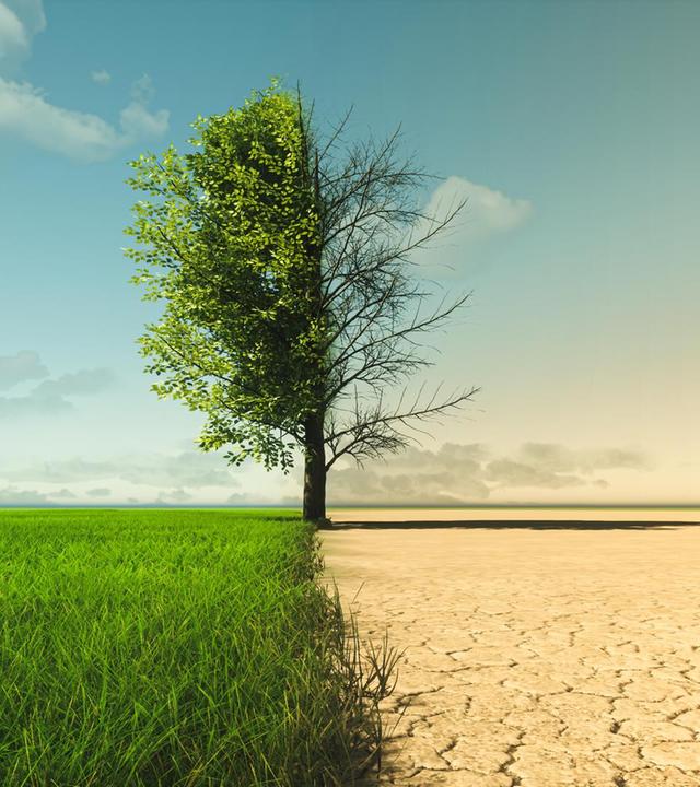 Weltklimakonferenz in Ägypten: Wo kann Deutschland mehr tun?