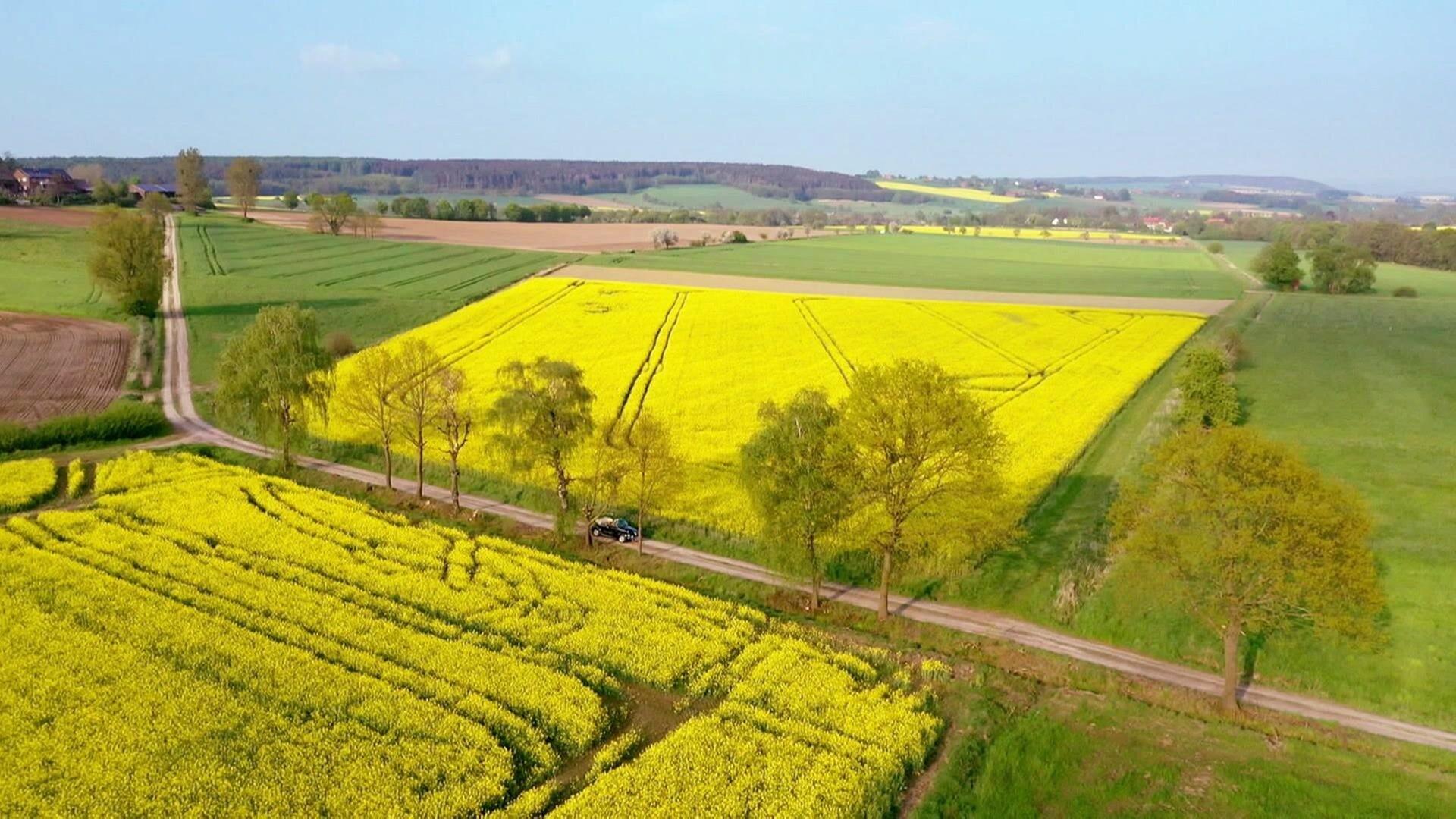 Wenn der Frühling kommt