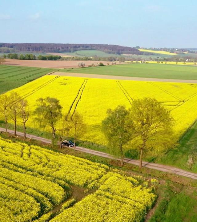 Wenn der Frühling kommt
