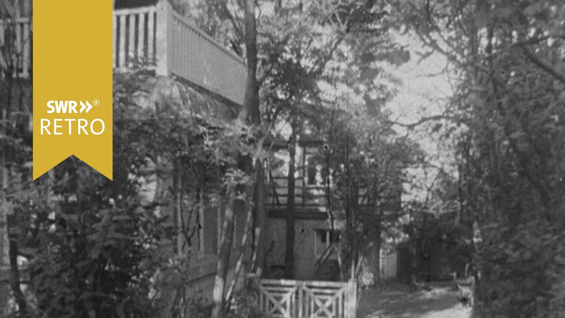 Werkschule Merz: Erkennen und Gestalten