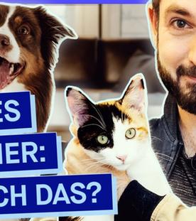 Wie kann ich verantwortungsvoll ein Haustier halten?