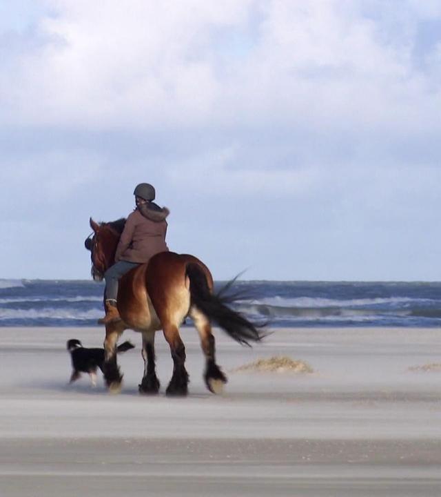 Wilde Stürme, leere Strände