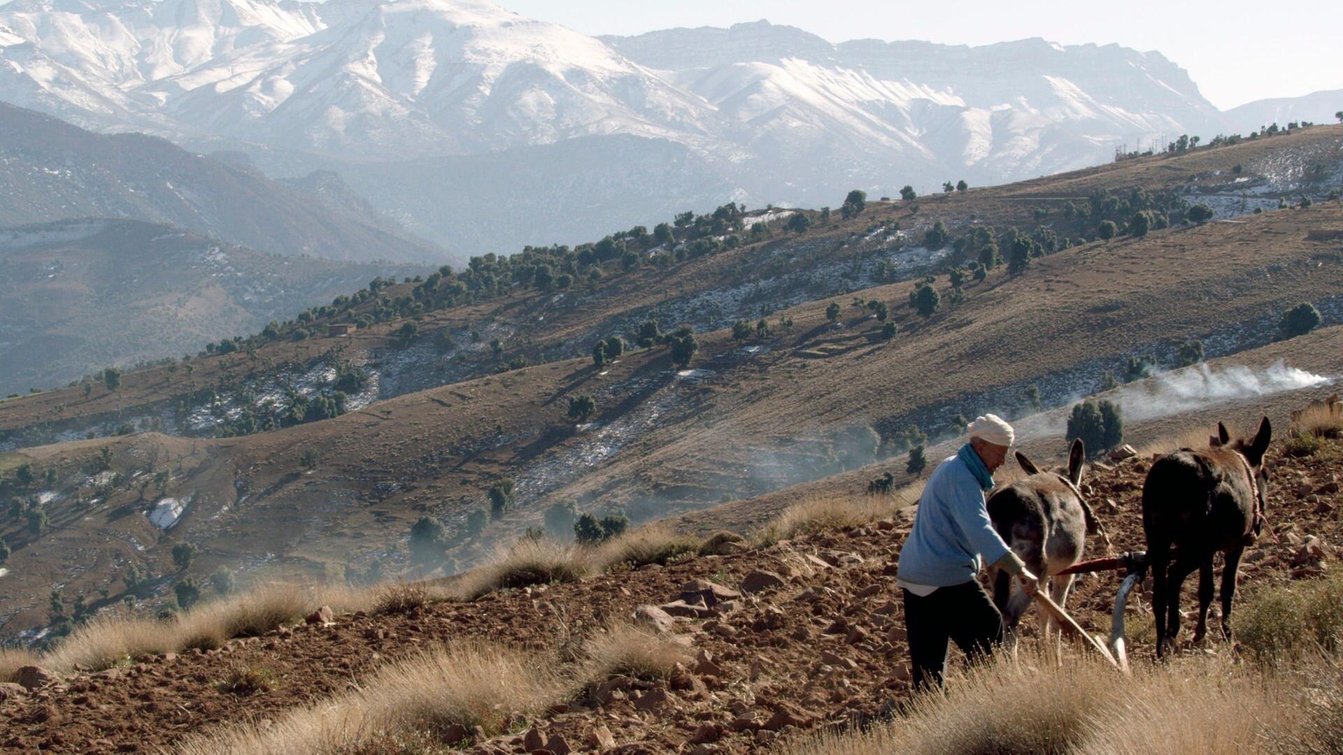 Wildes Marokko - Der grüne Norden