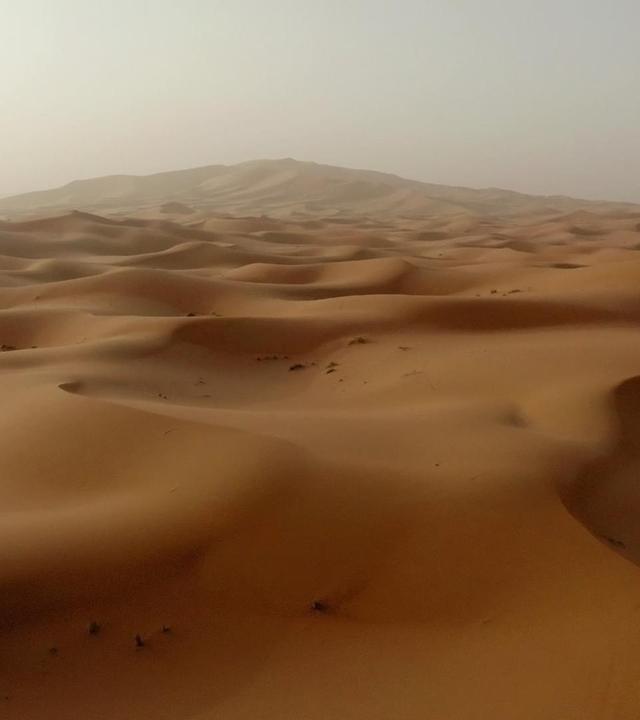 Wildes Marokko · Der goldene Süden