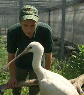 Willkommen an Bord -