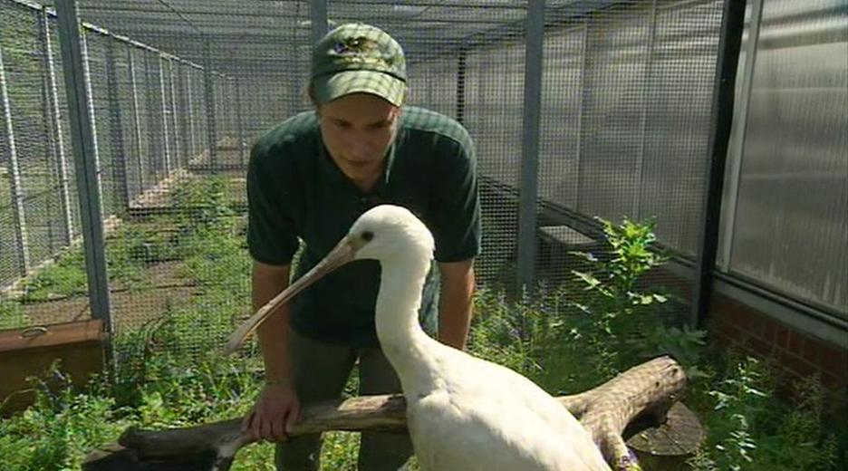 Willkommen an Bord -