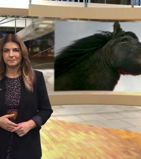 Wir im Saarland - Saar nur (15.12.2023)