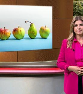 Wir im Saarland - Saar nur! (18.10.2024)