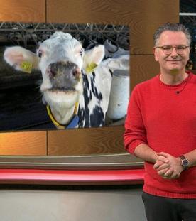 Wir im Saarland - Saar nur! (24.01.2025)