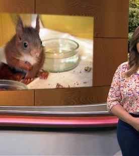 Wir im Saarland - Saar nur! (24.05.2024)