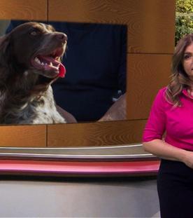 Wir im Saarland - Saar nur! extra - Tierische Freunde im Saarland