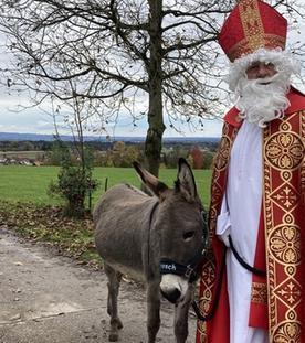 Woher kommt der Nikolaus?