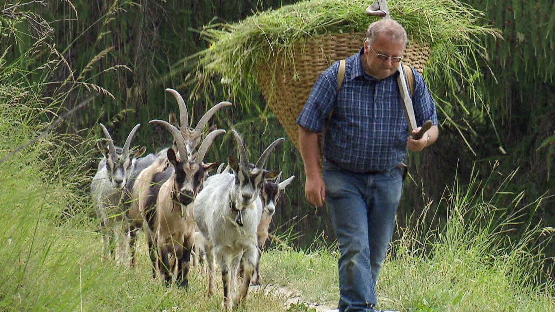 "Ziegen muss man gern haben" · Bei Geißbauern in den Bergen