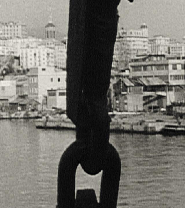 Zwischen Südostasien und Hamburg