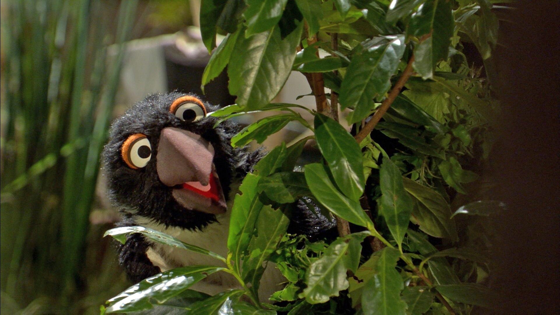 114. Der Pinguin im Garten