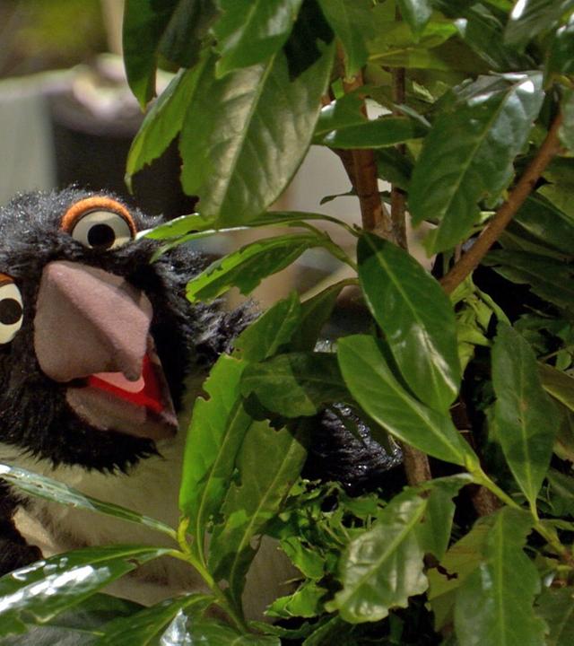 114. Der Pinguin im Garten