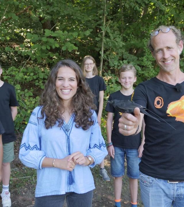 Ab in den Süden - Die weite Reise der Zugvögel