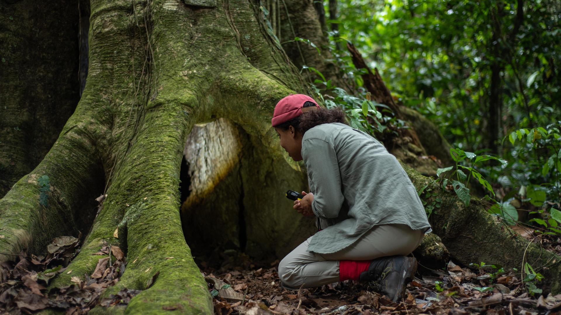 Abenteuer im Amazonas-Regenwald