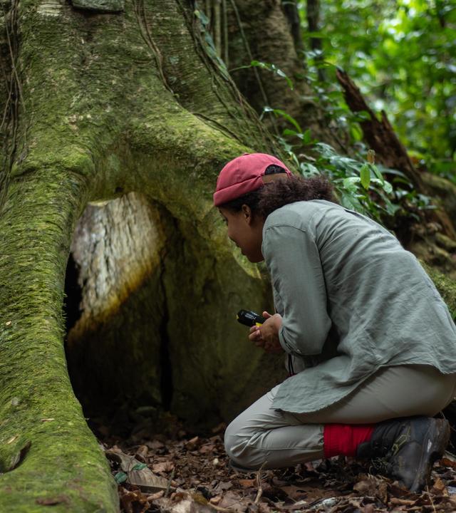 Abenteuer im Amazonas-Regenwald