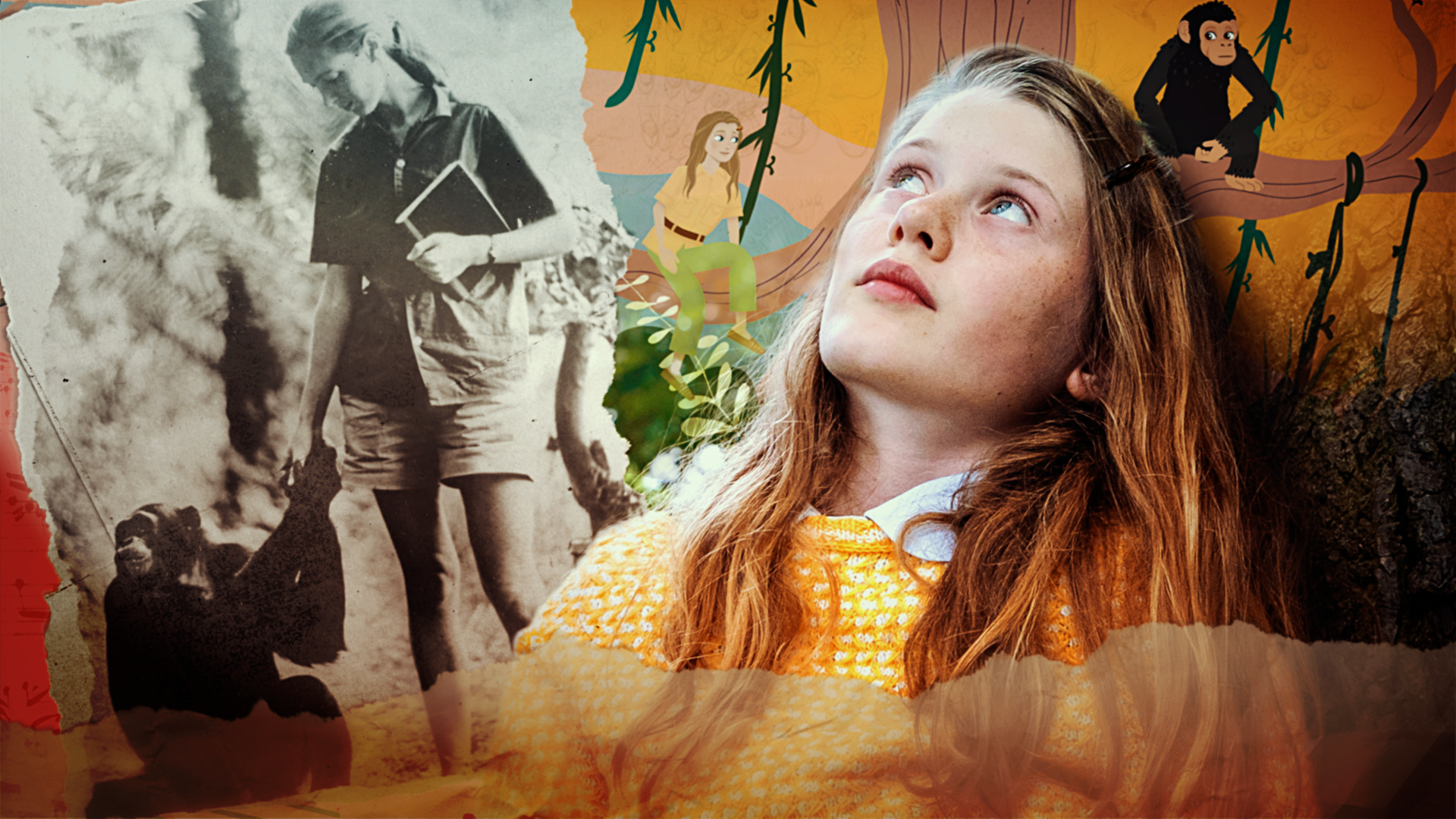 Affenforscherin Jane Goodall