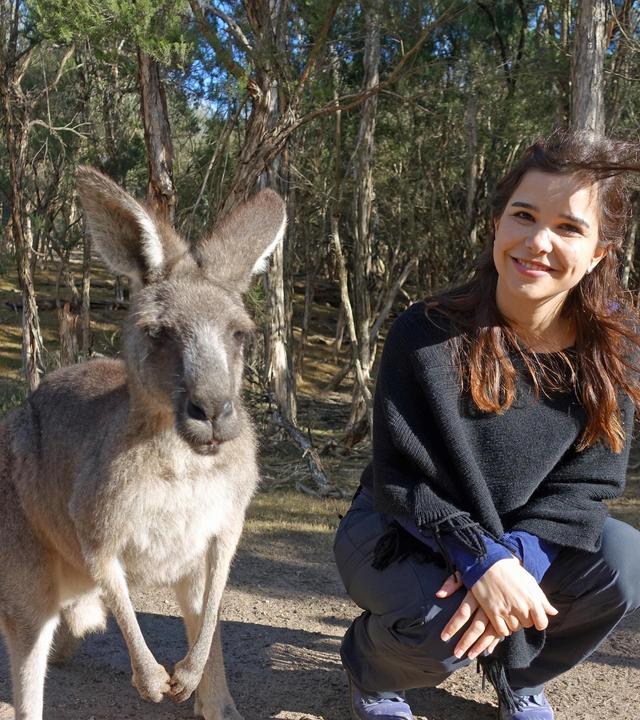 Boxen mit dem Känguru
