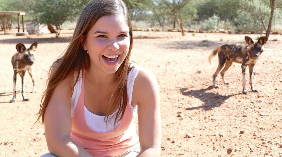 Bunt wie ein Wildhund