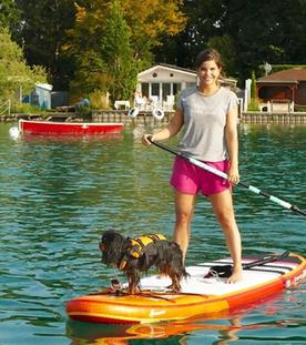 Cavalier King Charles Spaniel