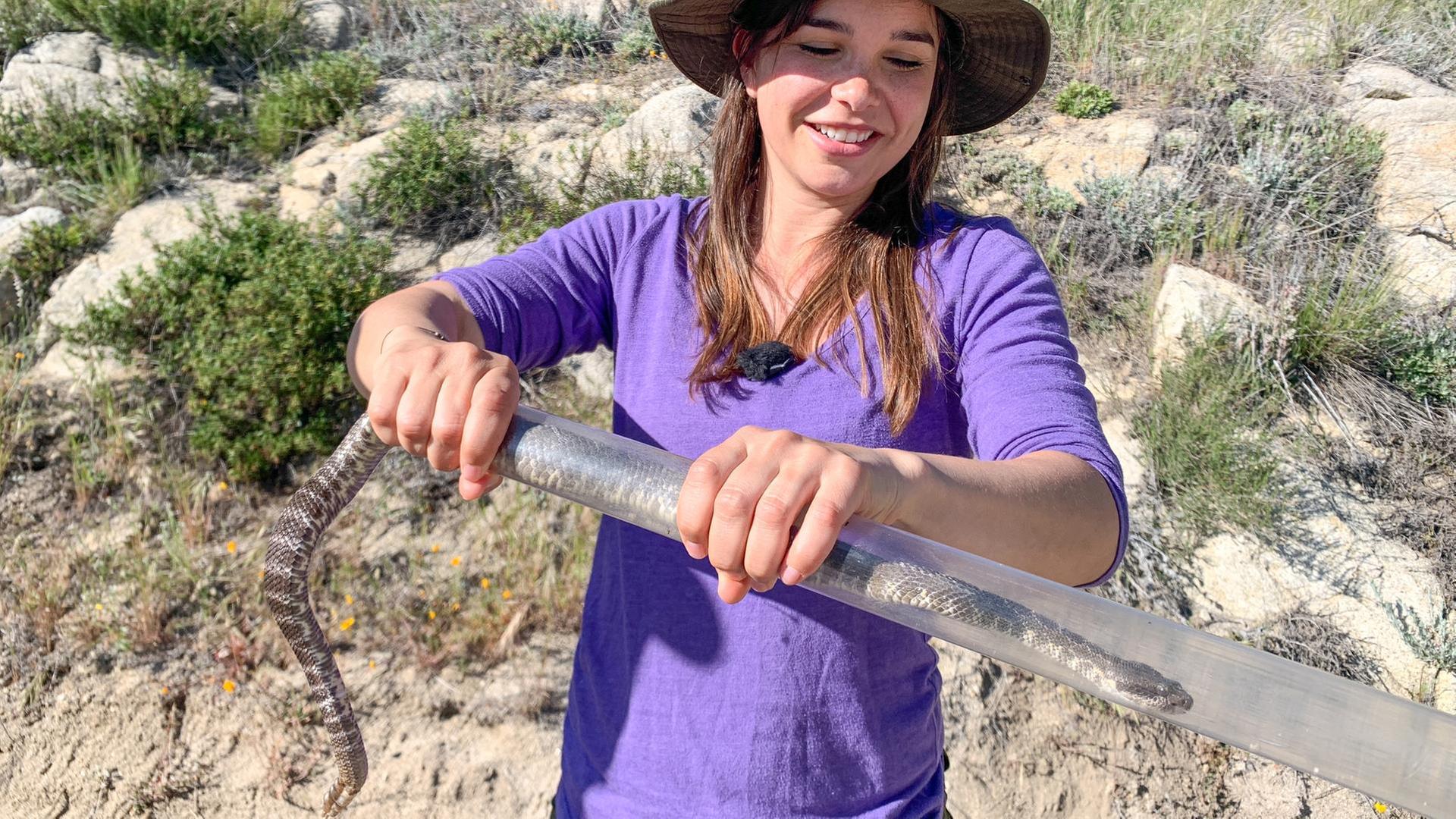 Das Rasseln der Klapperschlange