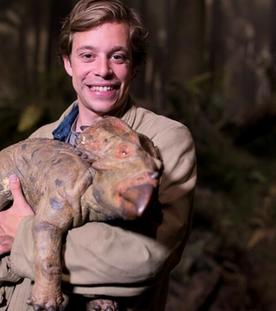 Der Dino-Check